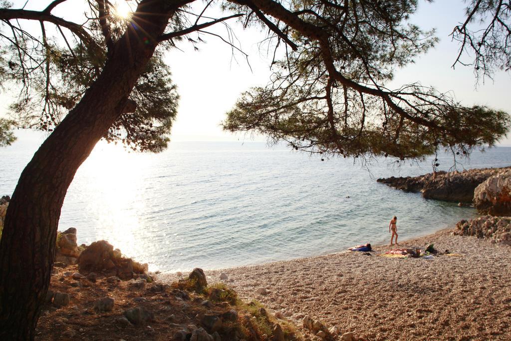Apartments Stanic Ravni Εξωτερικό φωτογραφία
